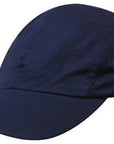 Headwear Brushed Cotton (3812)