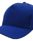 Headwear Budget Cap (4011)