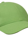 Headwear Brushed Heavy Cotton Cap  (4199)