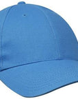 Headwear Brushed Heavy Cotton Cap  (4199)