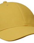 Headwear Brushed Heavy Cotton Cap (4199)