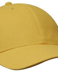 Headwear Brushed Heavy Cotton Cap  (4199)