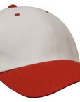 Headwear Brushed Heavy Cotton Cap  (4199)