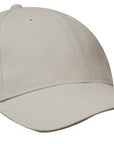 Headwear Brushed Heavy Cotton Cap  (4199)