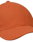 Headwear Brushed Heavy Cotton Cap  (4199)