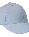 Headwear Brushed Heavy Cotton Cap  (4199)