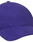 Headwear Brushed Heavy Cotton Cap  (4199)