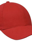 Headwear Brushed Heavy Cotton Cap  (4199)