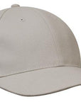 Headwear Brushed Heavy Cotton Cap  (4199)