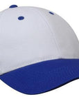 Headwear Brushed Heavy Cotton Cap  (4199)