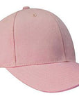 Headwear Brushed Heavy Cotton Cap (4199)