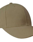 Headwear Brushed Heavy Cotton Cap  (4199)